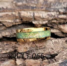 Stainless Steel ring RB.13.066