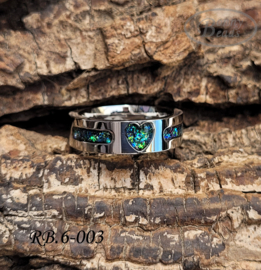 Stainless Steel ring RB.6.003