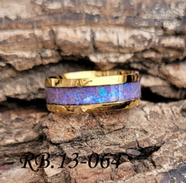 Stainless Steel ring RB.13.064