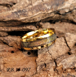 Stainless Steel ring RB.13.097