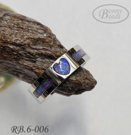 Stainless Steel ring RB.6.006