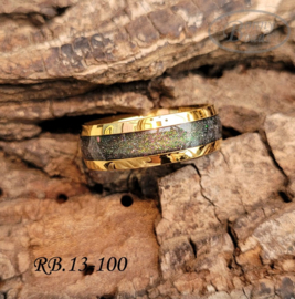 Stainless Steel ring RB.13.100