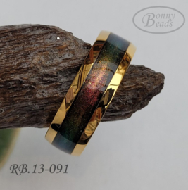 Stainless Steel ring RB.13.091