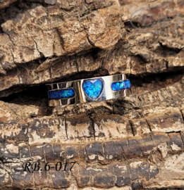 Stainless Steel ring RB.6.017