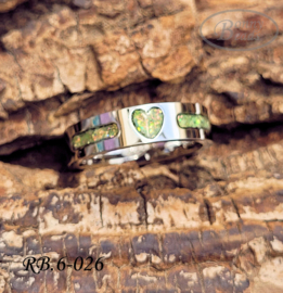 Stainless Steel ring RB.6.026