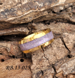 Stainless Steel ring RB.13.025