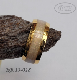 Stainless Steel ring RB.13.018