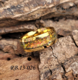 Stainless Steel ring RB.13.026