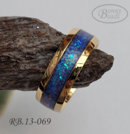 Stainless Steel ring RB.13.069