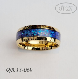 Stainless Steel ring RB.13.069