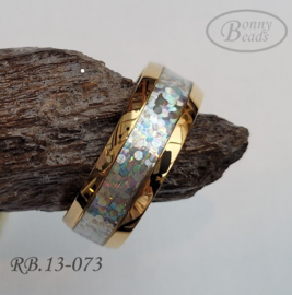 Stainless Steel ring RB.13.073