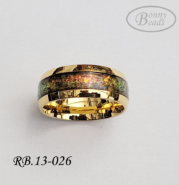 Stainless Steel ring RB.13.026