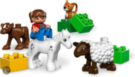 Lego Duplo 5646 dierenverzorging