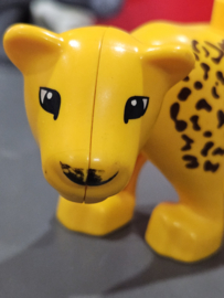 Lego Duplo luipaard tweede editie b-keuze ( beschadigd)