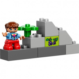 LEGO DUPLO Creatieve Grote Bouwdoos  XL- 10622 193 delig!