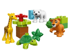 Lego Duplo jonge dieren 10801