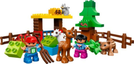 DUPLO Bos Dieren - 10582