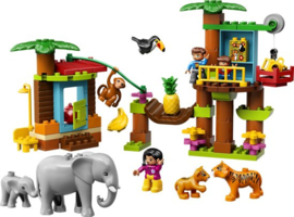 Duplo tropisch eiland 10906