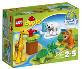 Duplo jonge dieren 10801 met doos