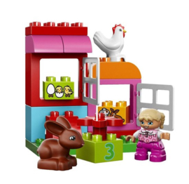 LEGO DUPLO Alles-in-een  - 10571