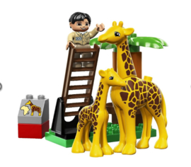 Lego Duplo stadsdierentuin 5635