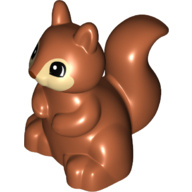 Duplo-eekhoorn met bruin gezicht, zwart-witte ogen en roodbruin neuspatroon 18115pb03