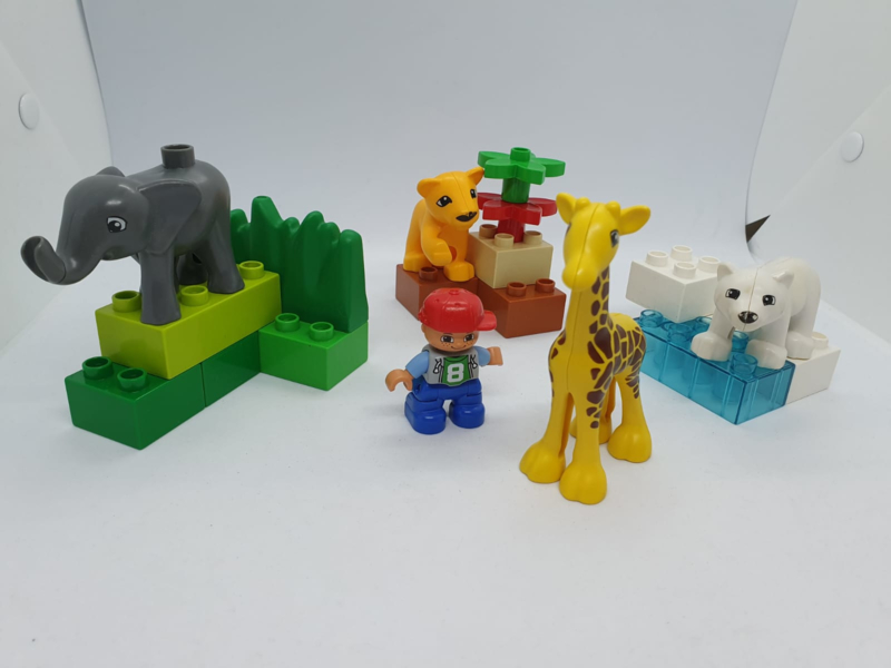 Slot voor het geval dat Smerig Duplo Baby dierentuin 4962 met doos | Lego Duplo dierentuin en dieren |  Tweemaal Lego Duplo
