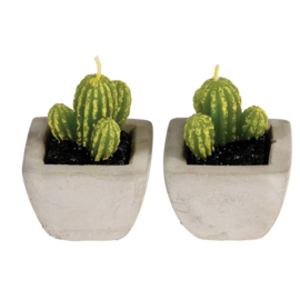 Kaars cactus in pot (2 stuks) ★ Rex London