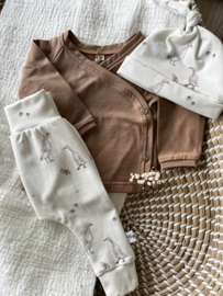 Babybroekje eendjes