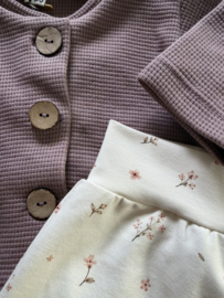 Vestje mauve