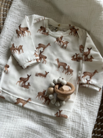 Shirtje envelophals hertjes