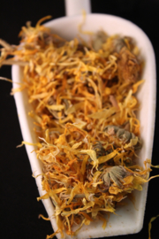 Goudsbloem/Calendula officinalis