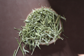 Haverstro/Avena Sativa