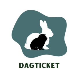 Dagticket