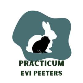 Practicum Evi Peeters