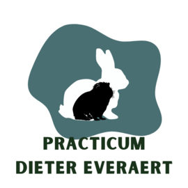 Practicum Dieter Everaert