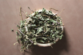 Pepermunt/Mentha × piperita