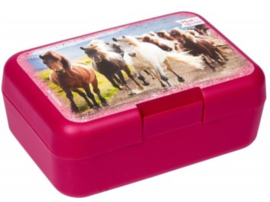 Roze paarden lunchbox  | wilde paarden