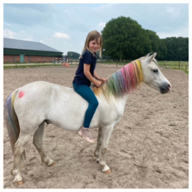 Maak van je pony een unicorn!