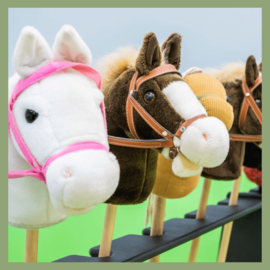Paardenspelletjes tijdens een kinderfeestje