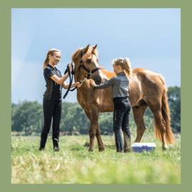 Paarden verzorgen
