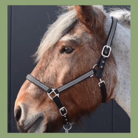 Paarden benodigdheden