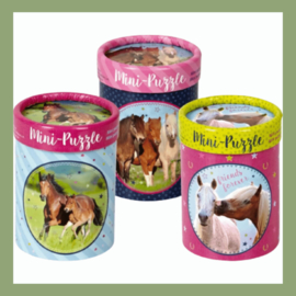 Cadeau paardenliefhebber
