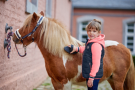 In welke volgorde moet je een pony poetsen?