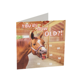 Paarden verjaardagskaart  | grappig paard