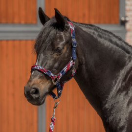 RH Halsterset | blauw