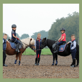 Ponykamp