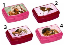 Kleine snackbox met paarden