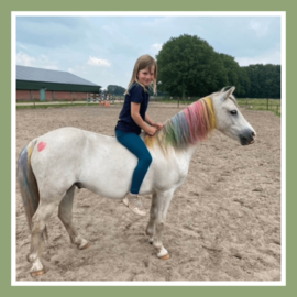 Kinderfeestje paardrijden