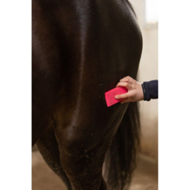 Paardenpraat grooming brush